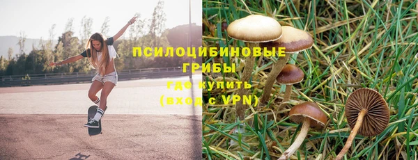 трава Алексин
