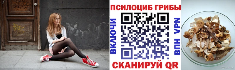 Псилоцибиновые грибы MAGIC MUSHROOMS  даркнет сайт  Димитровград 