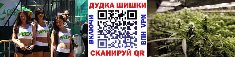 МАРИХУАНА семена  как найти закладки  Димитровград 
